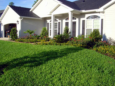 Landscape Installation, Gainesville, FL