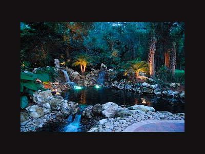 Landscape Lighting, Gainesville, FL